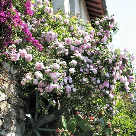 With A Stunning Sea View Pool Tennis *