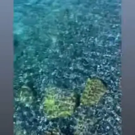 Apartman With A Stunning Sea View Pool Tennis Rapallo